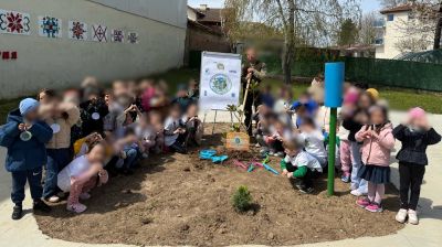 "Дърво за бъдеще"-инициативата е част от Плана за действие на ДГ"Мечо Пух" по програма Екоучилища  - ДГ Мечо Пух - Долни Чифлик