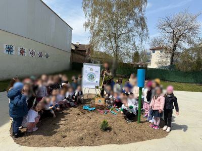 "Дърво за бъдеще"-инициативата е част от Плана за действие на ДГ"Мечо Пух" по програма Екоучилища  - ДГ Мечо Пух - Долни Чифлик