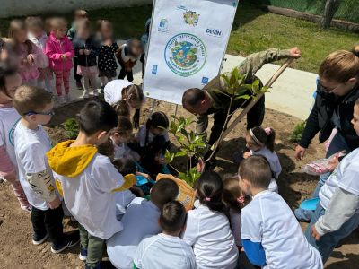 "Дърво за бъдеще"-инициативата е част от Плана за действие на ДГ"Мечо Пух" по програма Екоучилища  - ДГ Мечо Пух - Долни Чифлик