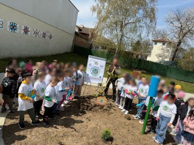 "Дърво за бъдеще"-инициативата е част от Плана за действие на ДГ"Мечо Пух" по програма Екоучилища  - ДГ Мечо Пух - Долни Чифлик