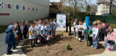 "Дърво за бъдеще"-инициативата е част от Плана за действие на ДГ"Мечо Пух" по програма Екоучилища  - ДГ Мечо Пух - Долни Чифлик