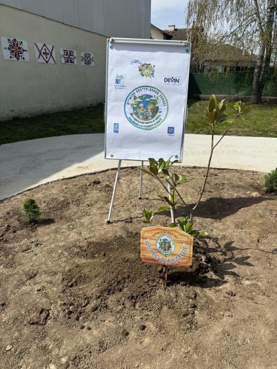 "Дърво за бъдеще"-инициативата е част от Плана за действие на ДГ"Мечо Пух" по програма Екоучилища  - ДГ Мечо Пух - Долни Чифлик