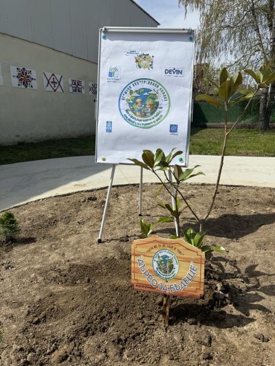 Дърво за бъдеще-инициативата е част от Плана за действие на ДГ"Мечо Пух" по програма Екоучилища  - ДГ Мечо Пух - Долни Чифлик
